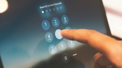 phone number information search
